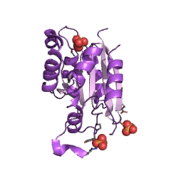 Example Structure of molybdopterin adenylyltransferase EC#: 2.7.7.75