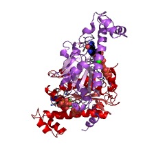 Example Structure of tRNAHis guanylyltransferase EC#: 2.7.7.79