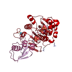 Example Structure of molybdopterin-synthase adenylyltransferase EC#: 2.7.7.80