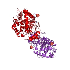 Example Structure of 2'-5' oligoadenylate synthase EC#: 2.7.7.84