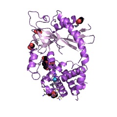Example Structure of cyclic GMP-AMP synthase EC#: 2.7.7.86
