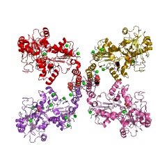 Example Structure of teichoic acid poly(glycerol phosphate) polymerase EC#: 2.7.8.12