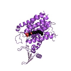 Example Structure of UDP-N-acetylglucosamine-dolichyl-phosphate N-acetylglucosaminephosphotransferase EC#: 2.7.8.15
