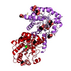 Example Structure of carboxyvinyl-carboxyphosphonate phosphorylmutase EC#: 2.7.8.23
