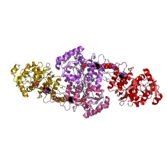 Example Structure of 2-phospho-L-lactate transferase EC#: 2.7.8.28