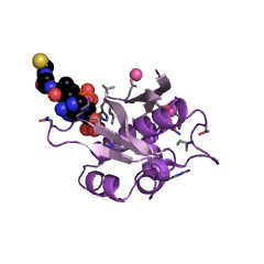 Example Structure of holo-[acyl-carrier-protein] synthase EC#: 2.7.8.7