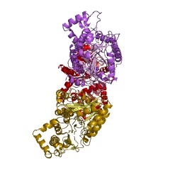 Example Structure of CDP-diacylglycerol-serine O-phosphatidyltransferase EC#: 2.7.8.8