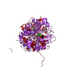 Example Structure of selenide, water dikinase EC#: 2.7.9.3