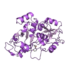 Example Structure of thiosulfate sulfurtransferase EC#: 2.8.1.1