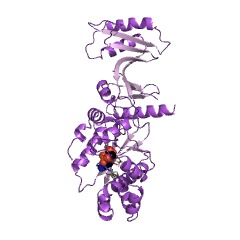 Example Structure of tRNA uracil 4-sulfurtransferase EC#: 2.8.1.4