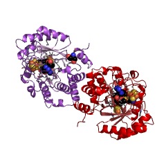 Example Structure of biotin synthase EC#: 2.8.1.6