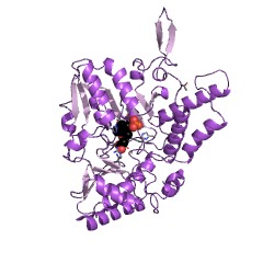 Example Structure of cysteine desulfurase EC#: 2.8.1.7