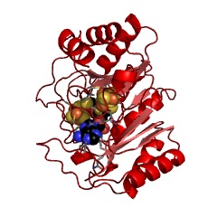 Example Structure of lipoyl synthase EC#: 2.8.1.8