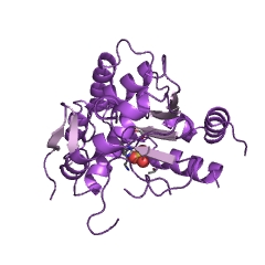 Example Structure of aryl sulfotransferase EC#: 2.8.2.1