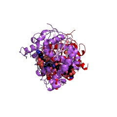 Example Structure of protein-tyrosine sulfotransferase EC#: 2.8.2.20