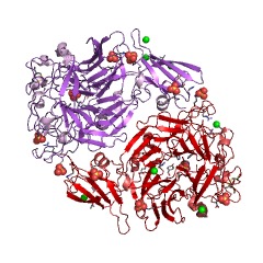 Example Structure of aryl-sulfate sulfotransferase EC#: 2.8.2.22