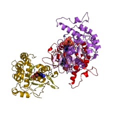Example Structure of [heparan sulfate]-glucosamine 3-sulfotransferase 1 EC#: 2.8.2.23