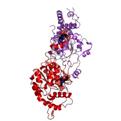 Example Structure of [heparan sulfate]-glucosamine 3-sulfotransferase 3 EC#: 2.8.2.30