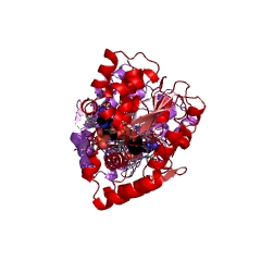 Example Structure of estrone sulfotransferase EC#: 2.8.2.4