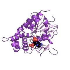Example Structure of [heparan sulfate]-glucosamine N-sulfotransferase EC#: 2.8.2.8