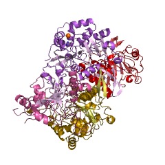 Example Structure of glutaconate CoA-transferase EC#: 2.8.3.12