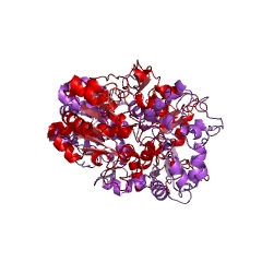 Estructura de ejemplo de formil-CoA transferasa EC #: 2.8.3.16