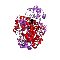 מבנה דוגמא של L-carnitine CoA-transferase EC #: 2.8.3.21