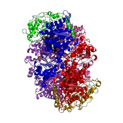 Beispielstruktur der Coenzym-B-Sulfoethylthiotransferase EC #: 2.8.4.1