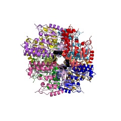 Beispielstruktur der [ribosomalen Protein S12] (Aspartat89-C3) -Methylthiotransferase EC #: 2.8.4.4