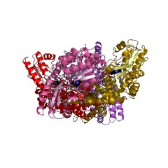 Example Structure of O-phospho-L-seryl-tRNASec:L-selenocysteinyl-tRNA synthase EC#: 2.9.1.2