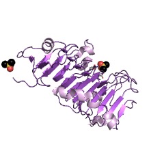 Example Structure of pectinesterase EC#: 3.1.1.11