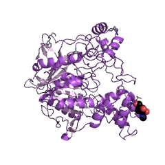 Example Structure of sterol esterase EC#: 3.1.1.13