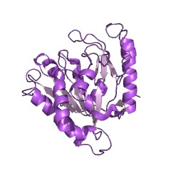 Example Structure of gluconolactonase EC#: 3.1.1.17