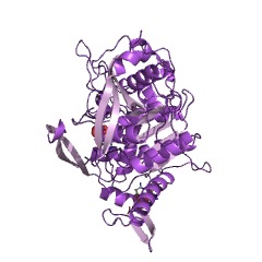 Example Structure of tannase EC#: 3.1.1.20