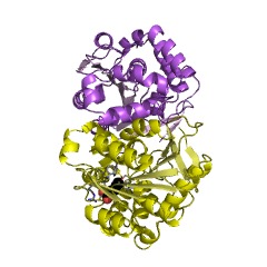 Example Structure of 3-oxoadipate enol-lactonase EC#: 3.1.1.24