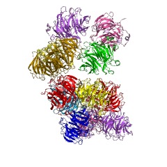 Example Structure of 1,4-lactonase EC#: 3.1.1.25