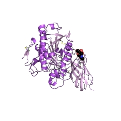 Example Structure of galactolipase EC#: 3.1.1.26