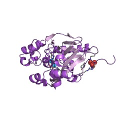 Example Structure of 4-pyridoxolactonase EC#: 3.1.1.27