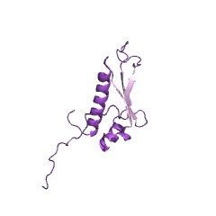 Example Structure of aminoacyl-tRNA hydrolase EC#: 3.1.1.29