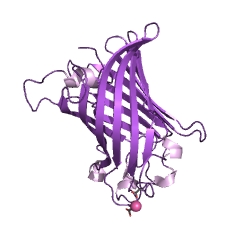 Example Structure of phospholipase A1 EC#: 3.1.1.32