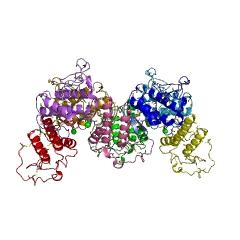 Beispielstruktur der Phospholipase A2 EC #: 3.1.1.4