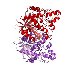 Example Structure of cephalosporin-C deacetylase EC#: 3.1.1.41