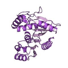 Example Structure of carboxymethylenebutenolidase EC#: 3.1.1.45