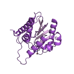 Example Structure of 1-alkyl-2-acetylglycerophosphocholine esterase EC#: 3.1.1.47