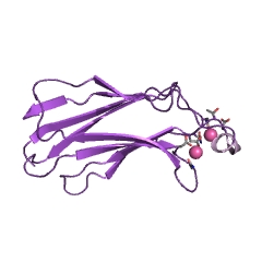 Example Structure of lysophospholipase EC#: 3.1.1.5