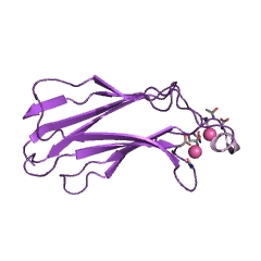 उदाहरण lysophospholipase EC #: 3.1.1.5 की संरचना