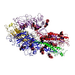 Example Structure of sialate O-acetylesterase EC#: 3.1.1.53