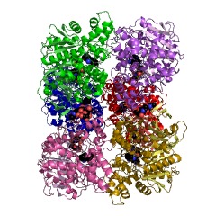 Example Structure of methylumbelliferyl-acetate deacetylase EC#: 3.1.1.56