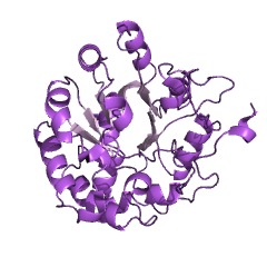 Example Structure of 2-pyrone-4,6-dicarboxylate lactonase EC#: 3.1.1.57