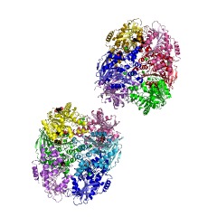 Example Structure of acetylesterase EC#: 3.1.1.6